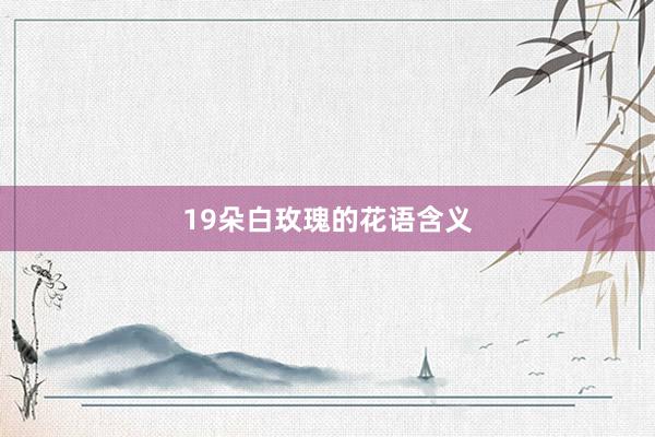 19朵白玫瑰的花语含义