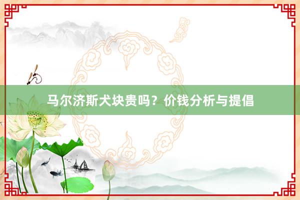 马尔济斯犬块贵吗？价钱分析与提倡